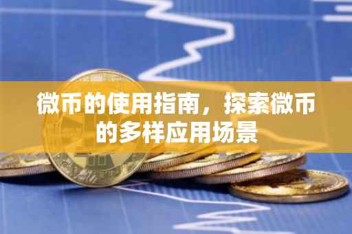 微币的使用指南，探索微币的多样应用场景