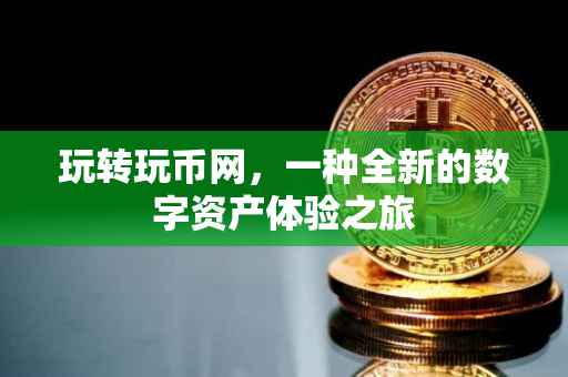 玩转玩币网，一种全新的数字资产体验之旅