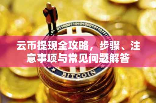 云币提现全攻略，步骤、注意事项与常见问题解答