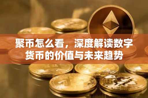 聚币怎么看，深度解读数字货币的价值与未来趋势
