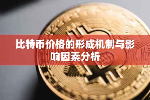 比特币价格的形成机制与影响因素分析