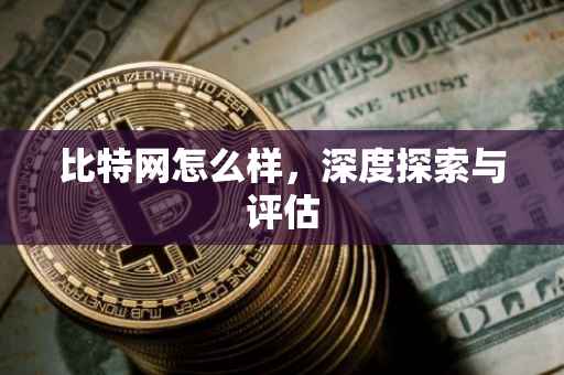 比特网怎么样，深度探索与评估