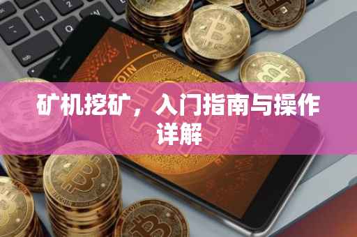 矿机挖矿，入门指南与操作详解