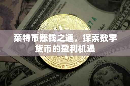 莱特币赚钱之道，探索数字货币的盈利机遇