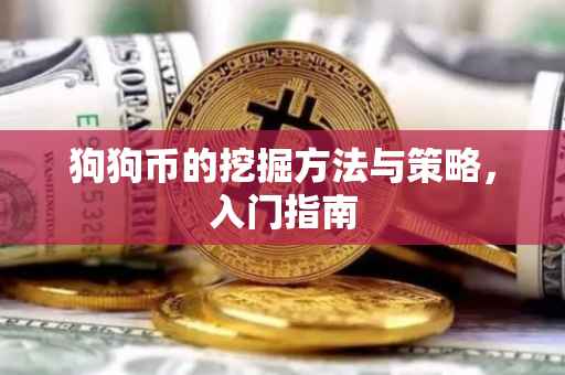 狗狗币的挖掘方法与策略，入门指南