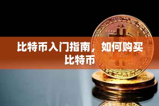 比特币入门指南，如何购买比特币