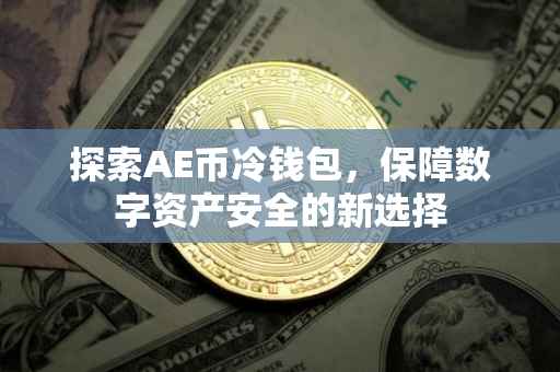 探索AE币冷钱包，保障数字资产安全的新选择