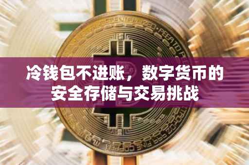 冷钱包不进账，数字货币的安全存储与交易挑战