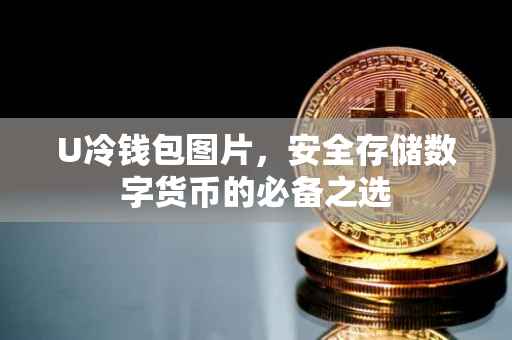 U冷钱包图片，安全存储数字货币的必备之选