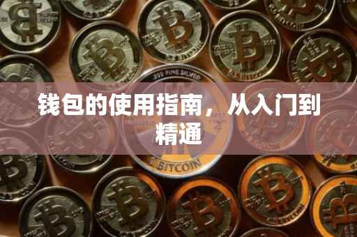 钱包的使用指南，从入门到精通