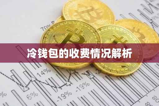 冷钱包的收费情况解析