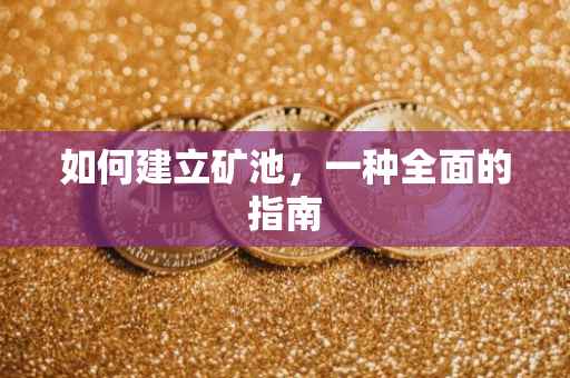 如何建立矿池，一种全面的指南