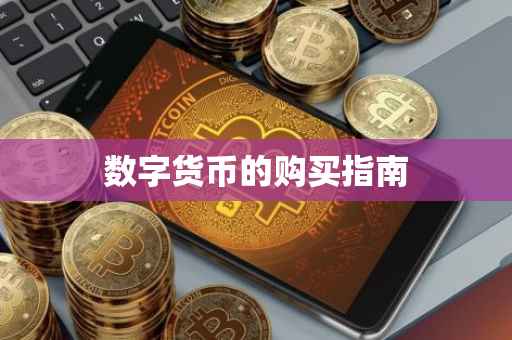 数字货币的购买指南