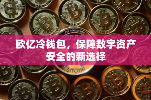 欧亿冷钱包，保障数字资产安全的新选择