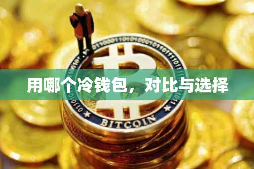 用哪个冷钱包，对比与选择