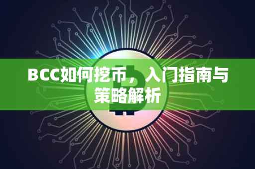 BCC如何挖币，入门指南与策略解析