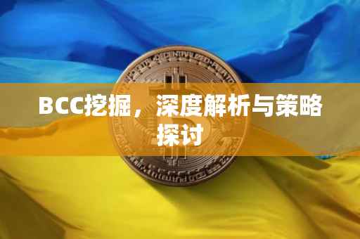 BCC挖掘，深度解析与策略探讨
