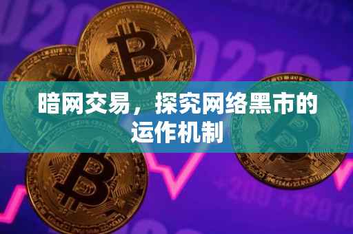暗网交易，探究网络黑市的运作机制