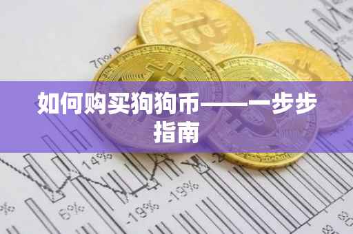 如何购买狗狗币——一步步指南