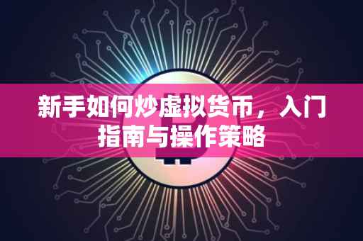 新手如何炒虚拟货币，入门指南与操作策略