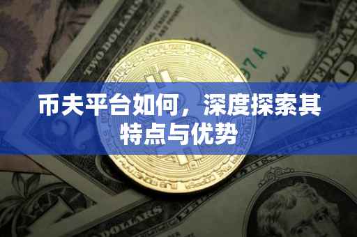 币夫平台如何，深度探索其特点与优势