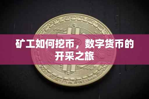 矿工如何挖币，数字货币的开采之旅