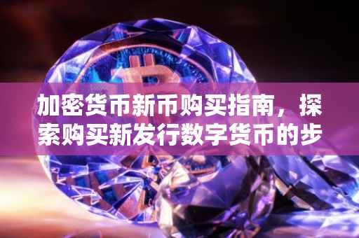 加密货币新币购买指南，探索购买新发行数字货币的步骤与策略