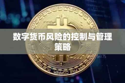 数字货币风险的控制与管理策略