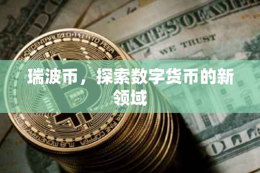 瑞波币，探索数字货币的新领域