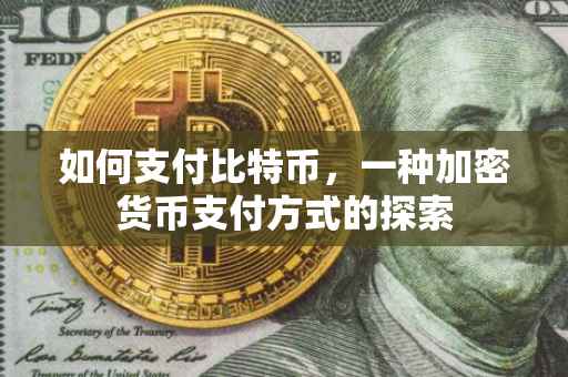 如何支付比特币，一种加密货币支付方式的探索