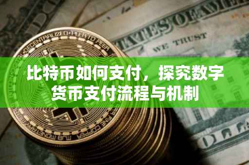 比特币如何支付，探究数字货币支付流程与机制