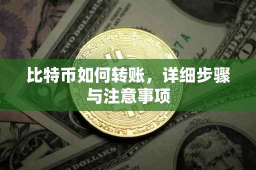比特币如何转账，详细步骤与注意事项