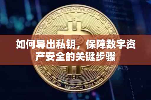 如何导出私钥，保障数字资产安全的关键步骤