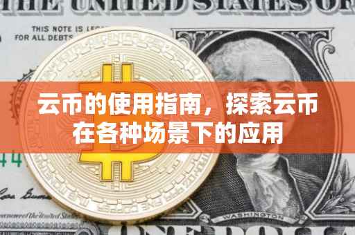 云币的使用指南，探索云币在各种场景下的应用