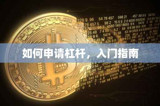 如何申请杠杆，入门指南