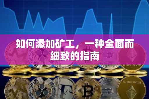 如何添加矿工，一种全面而细致的指南