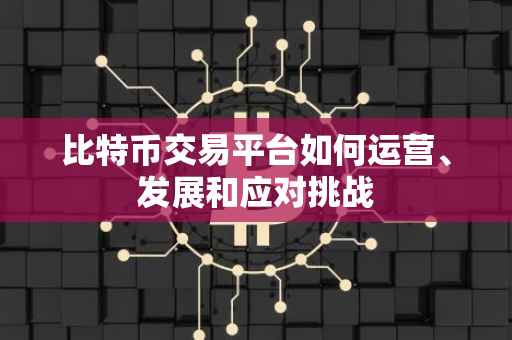比特币交易平台如何运营、发展和应对挑战