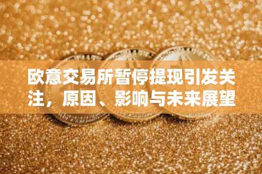 欧意交易所暂停提现引发关注，原因、影响与未来展望