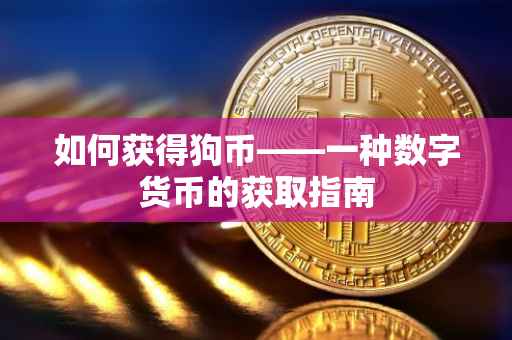 如何获得狗币——一种数字货币的获取指南