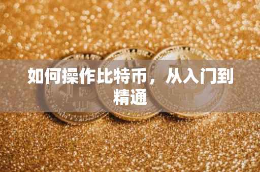 如何操作比特币，从入门到精通
