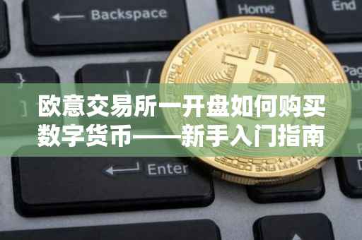 欧意交易所一开盘如何购买数字货币——新手入门指南