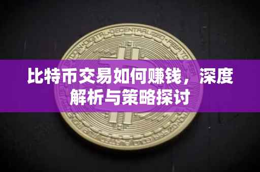 比特币交易如何赚钱，深度解析与策略探讨