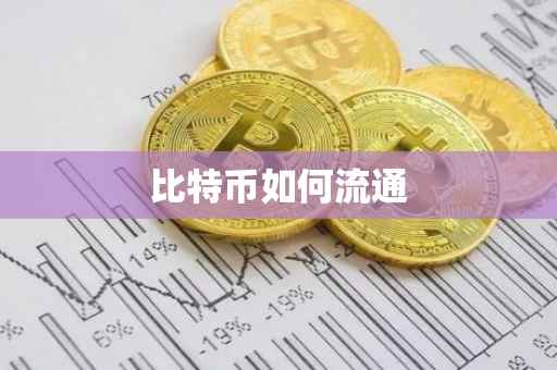 比特币如何流通