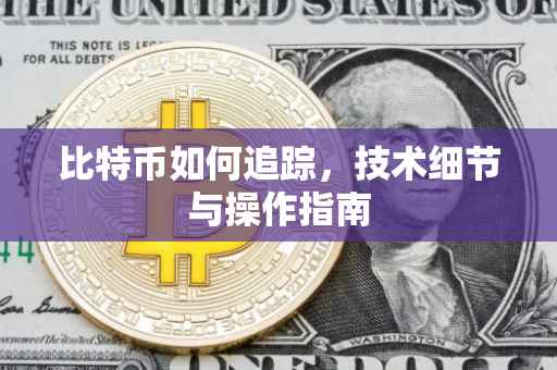 比特币如何追踪，技术细节与操作指南
