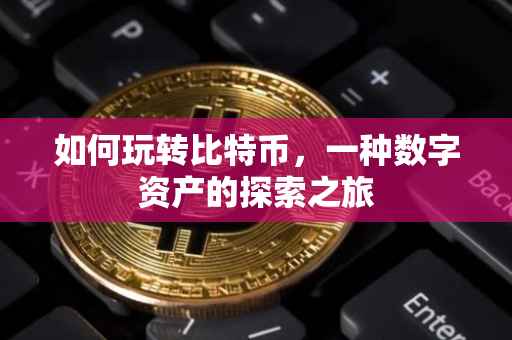 如何玩转比特币，一种数字资产的探索之旅