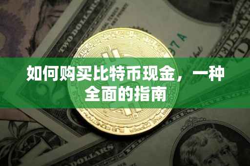如何购买比特币现金，一种全面的指南