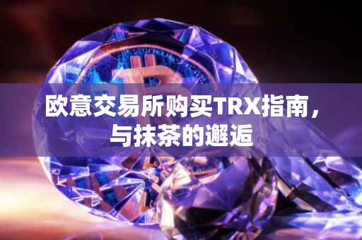 欧意交易所购买TRX指南，与抹茶的邂逅