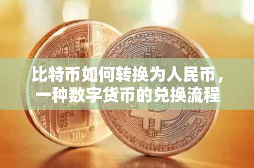 比特币如何转换为人民币，一种数字货币的兑换流程