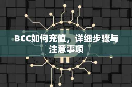 BCC如何充值，详细步骤与注意事项