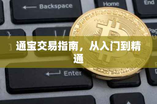 通宝交易指南，从入门到精通